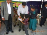 KMC Public School - Sports Day